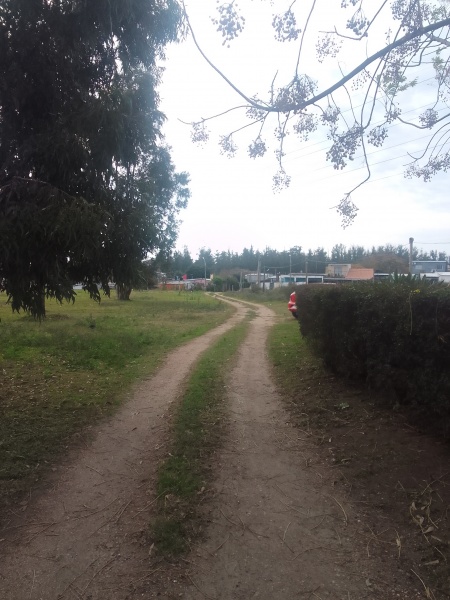 Campos y Chacras en Venta en Colón, Montevideo