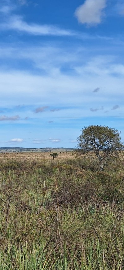 Campo / Chacra en Venta en 18 de Julio, Rocha