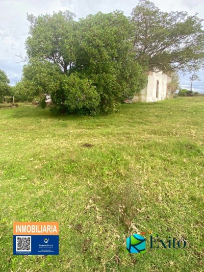 Campos y Chacras en Venta en Manga, Montevideo