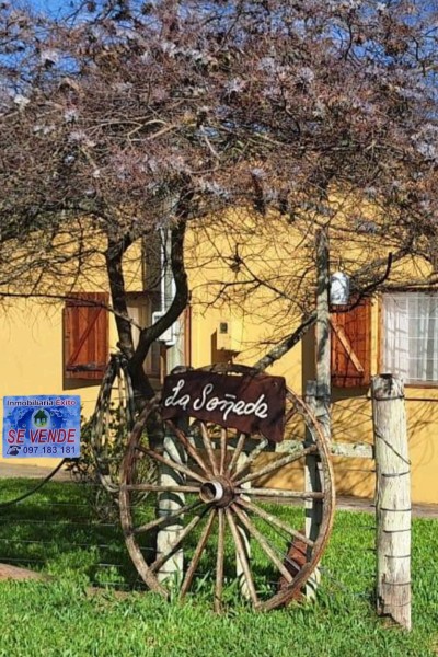 Campos y Chacras en Venta en Castillos, Rocha