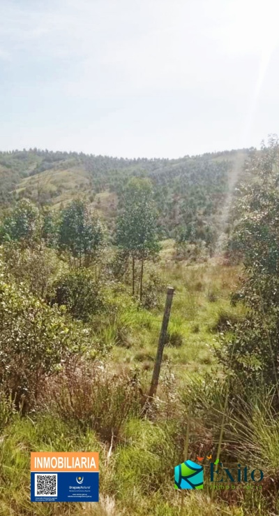 Campos y Chacras en Venta en Castillos, Rocha