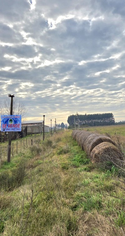 Campos y Chacras en Venta en Carrasco del Sauce, Canelones