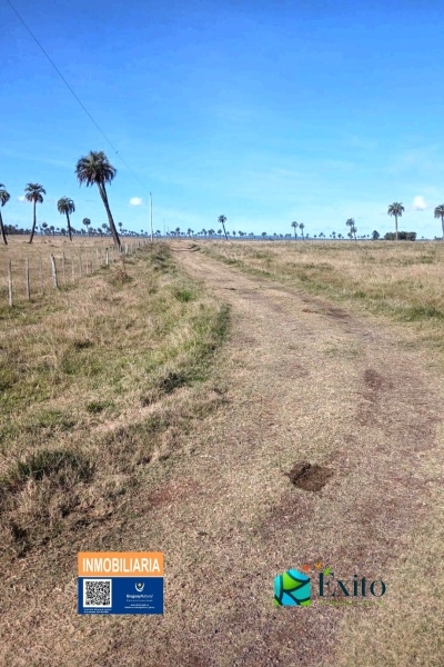 Campos y Chacras en Venta en San Luis Al Medio, Rocha