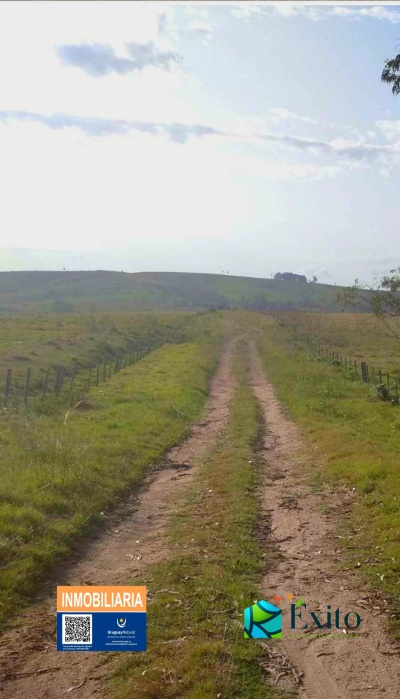 Campos y Chacras en Venta en Castillos, Rocha