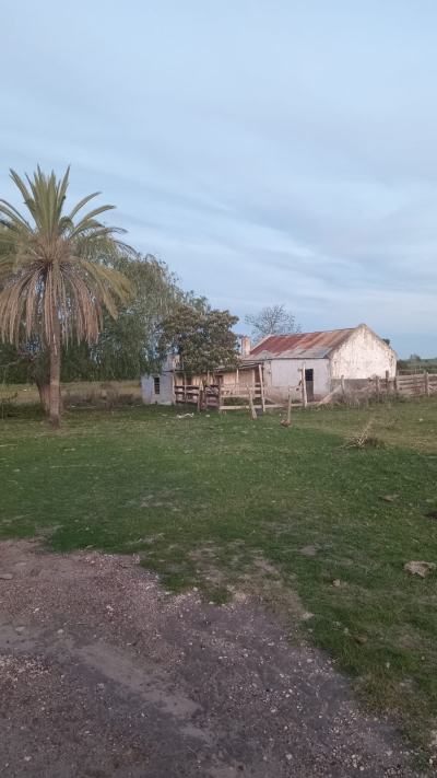 Campo en Venta en Mercedes, Soriano