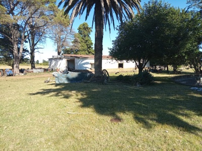 Campos y Chacras en Venta en Pando, Canelones