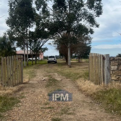 Campo / Chacra en Venta en Nueva Hespérides, Salto, Salto
