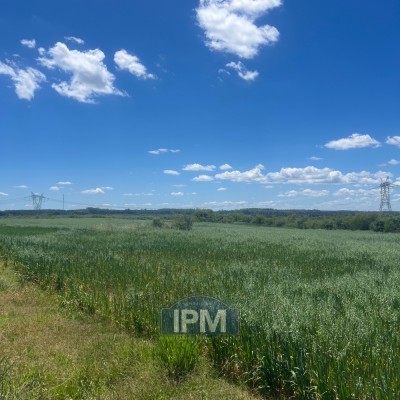 Chacra en Venta en Salto, Salto