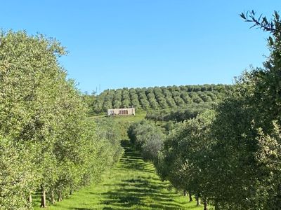 Campo / Chacra en Venta en Solís de Mataojo, Lavalleja