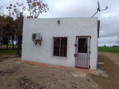 Casas en Alquiler en San José de Mayo, San José