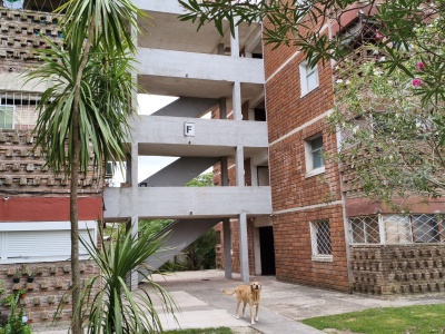 Apartamentos en Alquiler en San José de Mayo, San José