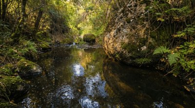 Campos y Chacras en Venta en Garzón , Maldonado