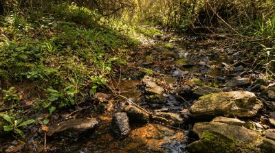 Chacra en Venta en Sierras de Garzón, Rocha, Rocha