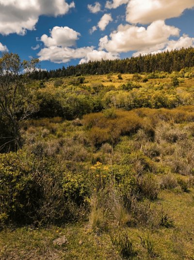 Chacra en Venta en Sierras de Garzón, Rocha, Rocha
