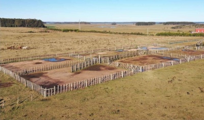 Campo en Venta en José Ignacio, Maldonado