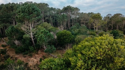 Terrenos en Venta en Rocha, Rocha