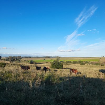 Campos y Chacras en Venta en Parallé, Rocha