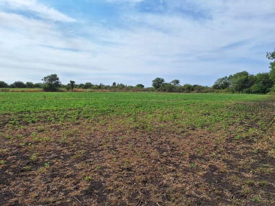 Campos y Chacras en Venta en Paysandú, Paysandú