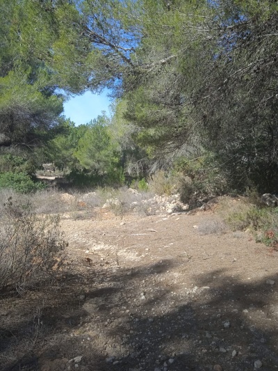 Terreno edificable en Venta en cala de bou, Sant Jose, Islas Baleares