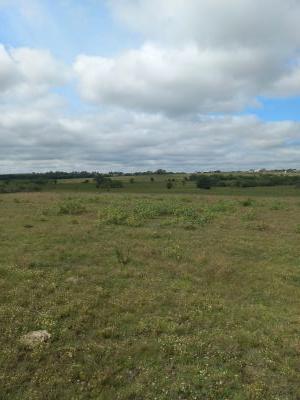 Campos y Chacras en Venta en Paysandú, Paysandú