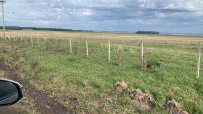 Campo / Chacra en Alquiler en Artigas, Artigas