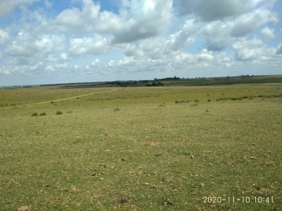 Campo / Chacra en Venta en Tacuarembó, Tacuarembó