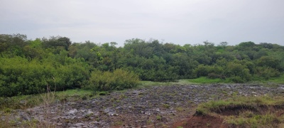Campo / Chacra en Venta en Salto, Salto