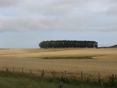 Campo / Chacra en Venta en Tacuarembó, Tacuarembó