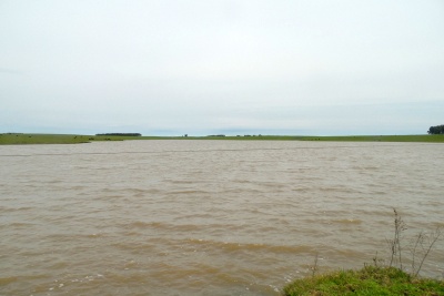 MUY BUEN CAMPO AGRICOLA en Venta en Artigas, Artigas