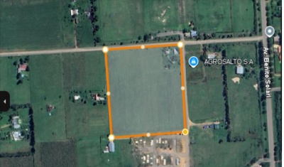 Campo / Chacra en Venta en Nueva Hesperides, Salto, Salto