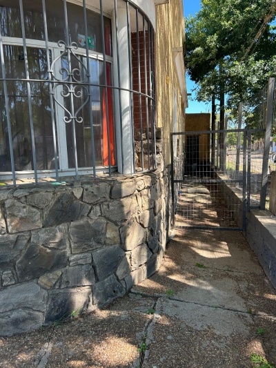 Casa en Venta,  Alquiler en Zona Este, Salto, Salto