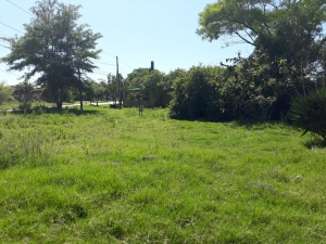 Terreno en Venta en Salto, Salto