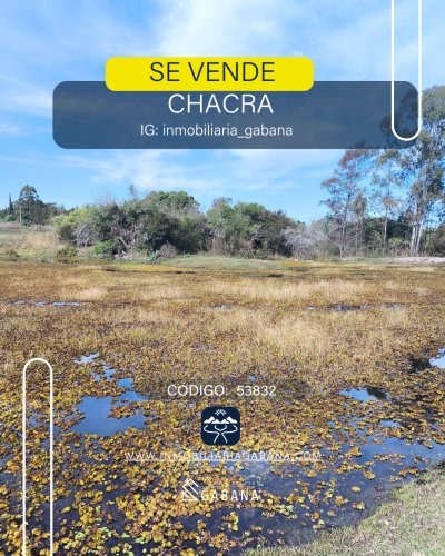 Terrenos en Venta en Salto, Salto