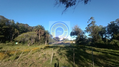 Terreno en Venta en Punta Ballena, Maldonado