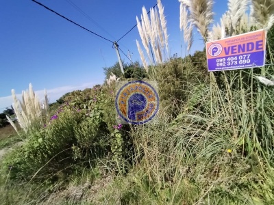 Terreno en Venta en Punta Negra, Maldonado