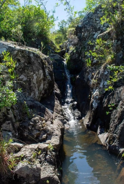 Campo / Chacra en Venta en Piriápolis, Maldonado