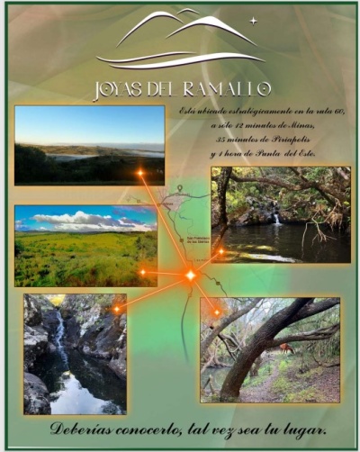 Campo / Chacra en Venta en Minas, Lavalleja