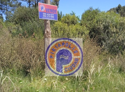 Terreno en Venta en Punta Colorada, Maldonado