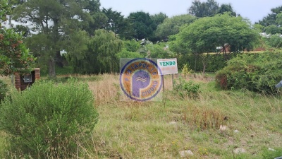 Terrenos en Venta en Punta Ballena, Maldonado