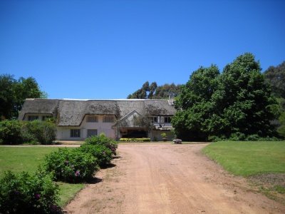 Campo / Chacra en Venta en Punta Ballena, Maldonado