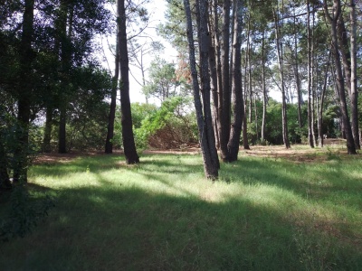 Terrenos en Venta en Barrio Country, Piriápolis, Maldonado