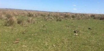 Campo en Venta en Las Pavas, Treinta y Tres