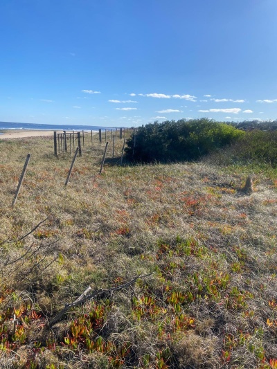 Terrenos en Venta en Bella Vista, Piriápolis, Maldonado
