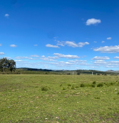 Terrenos en Venta en Minas, Lavalleja