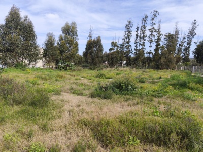 Terreno en Venta en Punta Colorada, Maldonado