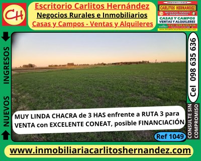 Campos y Chacras en Venta en Villa Maria, San José