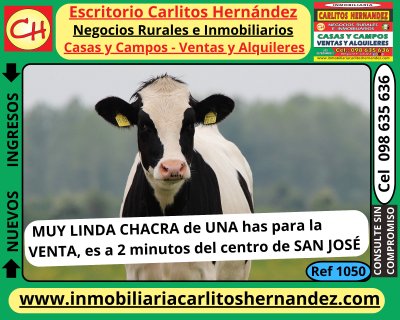 Chacra en Venta en San José de Mayo, San José