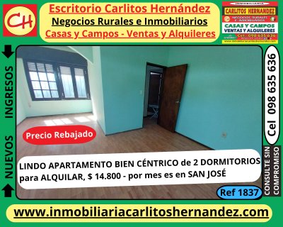 Apartamentos en Alquiler en CENTRO, San José de Mayo, San José