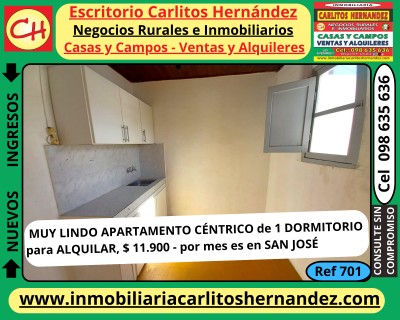 Apartamento en Alquiler en CENTRO, San José de Mayo, San José