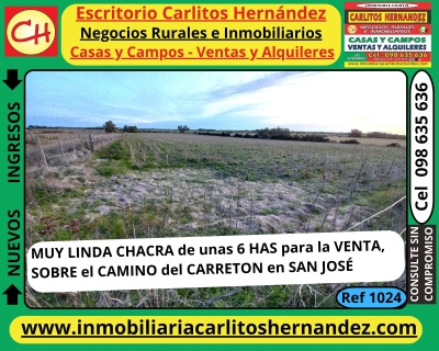 Campos y Chacras en Venta en CAMINO del CARRETON, San José de Mayo, San José